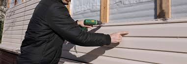 Best Siding Painting and Refinishing  in Orangetree, FL